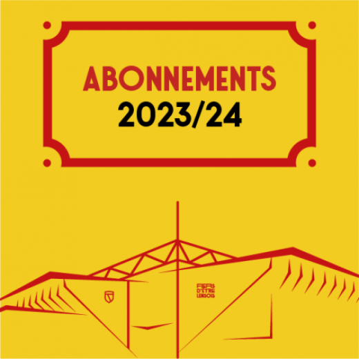 VOL CARTE ABONNEMENT